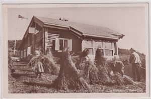 Buskerud Krafselien, Hallingdal  Småf. St, Nes i hallingdal 1912