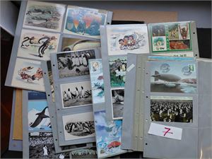 POSTKORT - PINGVINER 120 kort og maxikort, de fleste med pingviner.