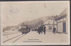 Blakstad Station, vintermotiv med Tog og mennesker.   (P.M.Danielsen, Arendal) , St. Froland 1-I-09, sendt til New-York City