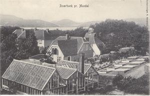 Mandal.  Risørbank pr. Mandal (R.Reierson) st. Mandal -08.