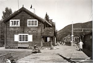 Postkort. Tinnoset stasjon. Telemark