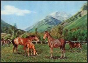 76 stk 3D i fine farger fra ulike land. Alle i storformat.