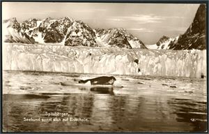 12 Episkop=Bildkarten. Spitzbergen/Svalbard. Ed. Liesengang, Düsseldorf. (Not Postcards). K-1