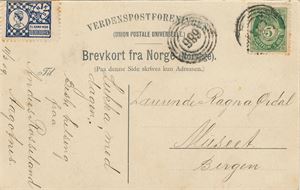 IV-686 - KAARTVEIT (HO / 10) på postkort datert 11/3-09, sendt til Bergen. Kortets motiv fra Tokagjel Norheimsund.