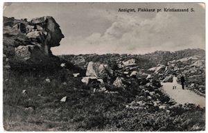 ANSIGTET, FLEKKERØ pr KRISTIANSAND S (G. M. Haugland 94) stemplet "BREVIK-KR. SAND S A 18 IX 23"