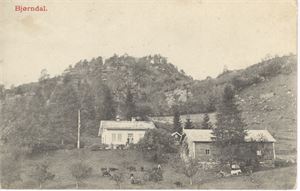 Telemark   "Bjørndal"  utg. Ole Samnøen.   Brukt ikke postgått