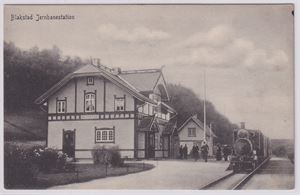 Jernbane Blakstad Jernbanestation UB småf.  (Oppi,16) flott motiv med Tog og mennesker.