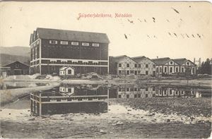 Notodden - Salpeterfabrikerne (Telemarkens Boghandel) Stemplet Notodden 24-VII-07.  Frim fjernet.  Svak hj.brett.  Flott fabrikkmotiv !