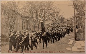 STJØRDAL, fra Størdalshalsen 17. mai 1906, barnetoget, ubrukt.