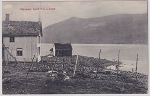 Renøen seet fra Lanes (Tr)  - Peder H. Figenschou - ubrukt