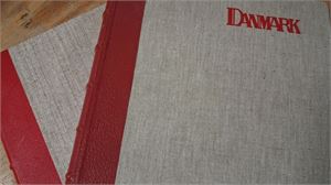 DANMARK stämplad samling 1858-1990 i två Estettalbum med egenmonterade fickor. Väldigt blandad