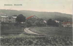 Drammen Dannevik, kolorert kort (Drammens Kortforlag, 113) st. 09