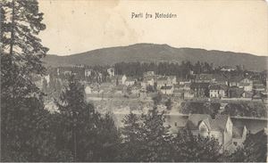 Notodden, Parti fra (Notoddens Magasin) st. 1910 frim. Fjernet