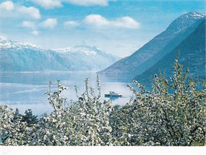 Båtkort - "Bjørnefjord" mellom Kvanndal og Kinsarvik