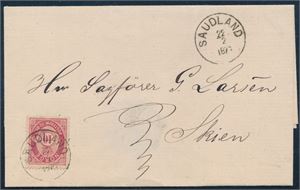 NK 25 på pent brev st "Saudland 22-2-1879" til Skien