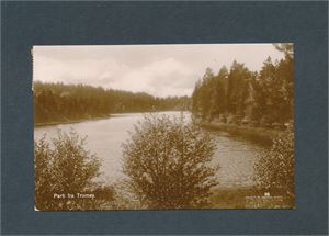 PARTI FRA TROMØY (PMD 88) postgått 1925