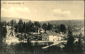 Parti fra Lørenskogen St. Brukt i 1919. K-1