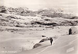 Hordaland - Vikør nr 149 Fra Kvamskogen (med fru Vikør)