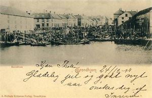 Trøndelag Trondhjem, Ravnkloen (Eriksen, uten nr). Udelt bakside, småf. s/hv. Stpl i 03. Pen kvalitet.