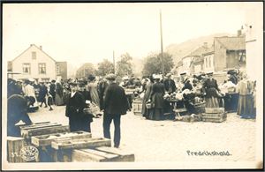 Fredrikstad og Halden. 110 kort i album, hvor 66 er i småformat.