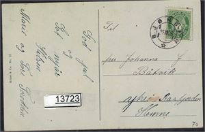 SØR-TRØNDELAG Kort med hullstempel "BJØRGEN 21 XII 38" med Nk 119