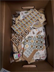 KLIPP Kasse norsk og utenlandsk. Ikke sjekket, vekt 4,8 kilo