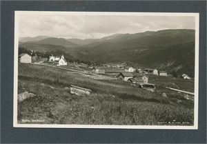 BYKLE, SETESDAL (48 PMD) Ubrukt og perfekt