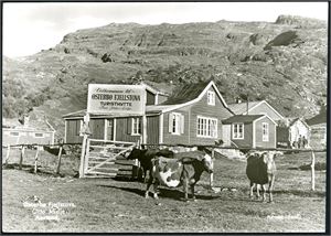 Sogn og Fjordane. Drøyt 520 kort, hvorav nær 280 i småformat.