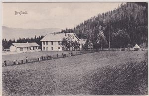 Opland Brufladt (Etnedal, Op) (UB småf.)