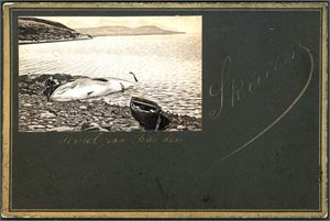 3 "kartongkort", hvorav to med motiver fra Hvalfangsten: "Ladet Hvalkanon Skaarø", "Hval på Stranden, Skaarø" og ""Hilsen fra Norge".