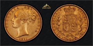 1 sovereign 1851 gull