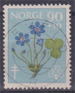 NK 480, Leveld 11-8-61 på 90ø blomst