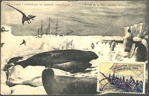 Gauss Antartic Expedition 1901-03. Postcard with a label from the Exposition Coloniale Marseille 1906.