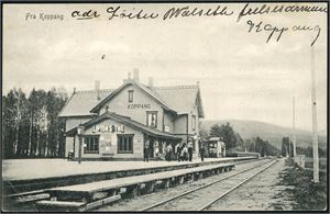 Ca 130 noske postkort i to album. Hovedsakelig stedskort i småformat.