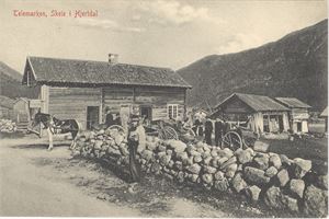 Telemarken, Skeie i Hjertdal (ub småf.) (No.15)