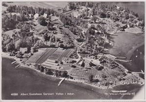 Akershus Albert Gustafsson Garteri Vollen i Asker (Widerøe,48988) UB storf.
