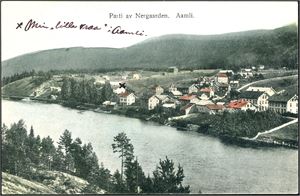 Aamli. 5 ulike kort i småformat. K-2/3