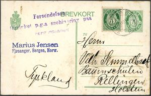 99. 5 øres Brevkort oppfrankert med 5 øre Posthorn, stemplet "Fjøsanger 10.3.13" og sendt til Holstein, Tyskland. Ved siden et lilla linjestempel "Forsendelsen er forsinket p.g.s. snehindring på Bergensbanen". Ikke forsinkelsen er ikke nevnt i Gwybb & Hoggarth.