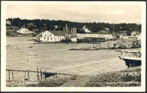 Drøyt 60 stedskort, hvorav 40 i småformat. Bl.a. noen fra Onsøy, Engelsviken og Gresvik.