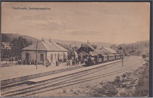 Vestfossen Jernbanestation (NK2199) st. Vestfossen 1928.  Dog med damp og folk.