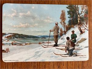 KARTONGKORT brukt 24.1.1900 - Enerett H Abel