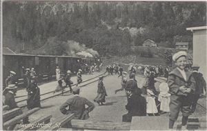 Jernbane Svangstrand St. (PA,2500) St. Hole 1906   Flott kort fra Lierbanen med ett herlig motiv