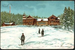 62 kartong-/overrekkelseskort i album. Bl.a. Axel Ender (20 stk). O. Holmboe, L. Skramstad, N. Hansteen og A. Block. Flere med bunadsmotiv.