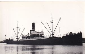 Båtkort - S/S Pollux