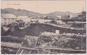 Parti af Balstad - Larsen-Norman no. 207 - ubrukt