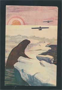 POLAR Usignert polart kort (Norsk Kunstforlag A/S No 518). Ubrukt