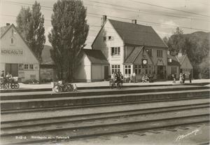 Postkort jernbane NORDAGUTU stasjon (TE) A6 s/h (Normann 7-12-2) ubrukt