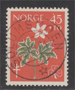 NK 479 prakt SOLUMSMOEN 30-9-61 (Bu) på 45ø Blomst