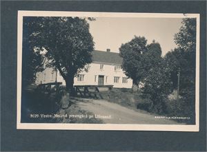 3629 VESTRE MOLAND PRESTEGÅRD pr LILLESAND (Küenholdt) Ubrukt og strøkent